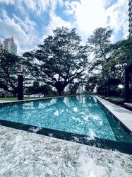 Irwell Hill Residences (D9), Apartment #445998881